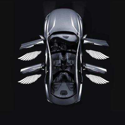 Angel Wing Car Door Lights