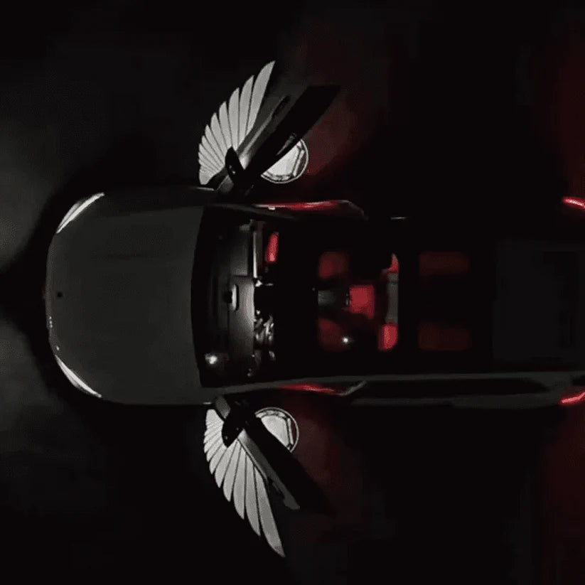 Angel Wings Puddle Lights Universal