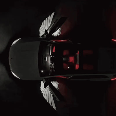 Angel Wings Puddle Lights Universal