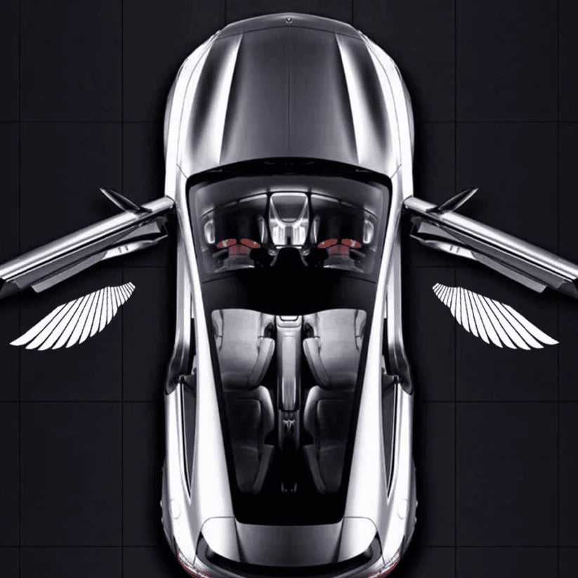 Angel Wing Car Door Lights