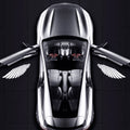Angel Wing Car Door Lights
